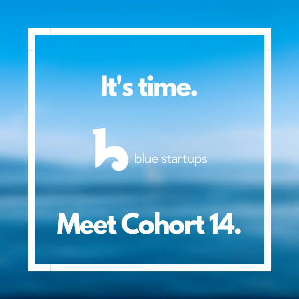 Announcing Cohort 14!